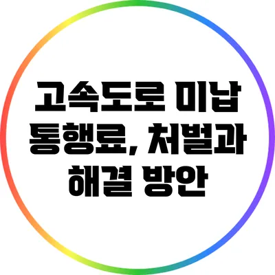 고속도로 미납 통행료, 처벌과 해결 방안