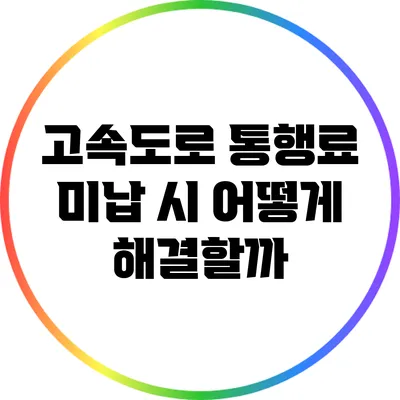 고속도로 통행료 미납 시 어떻게 해결할까?