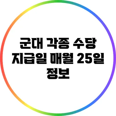 군대 각종 수당 지급일: 매월 25일 정보