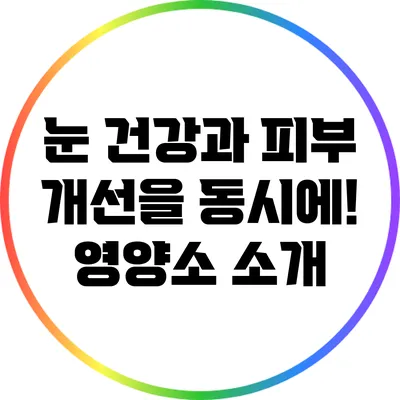 눈 건강과 피부 개선을 동시에! 영양소 소개