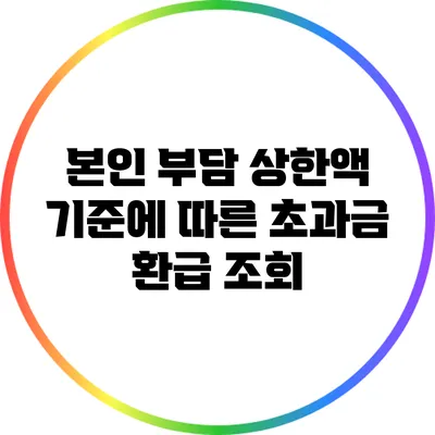본인 부담 상한액 기준에 따른 초과금 환급 조회