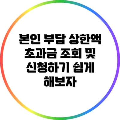 본인 부담 상한액 초과금 조회 및 신청하기 쉽게 해보자