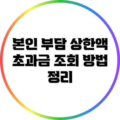 본인 부담 상한액 초과금 조회 방법 정리