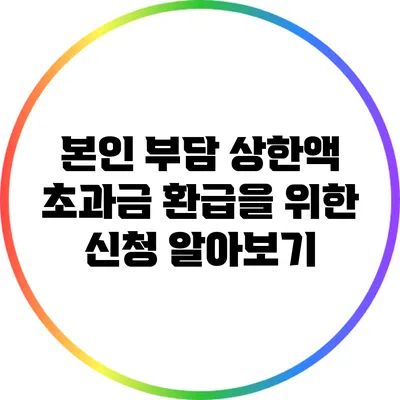 본인 부담 상한액 초과금 환급을 위한 신청 알아보기