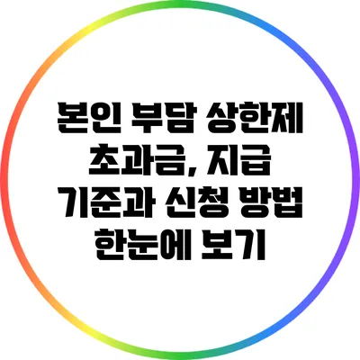 본인 부담 상한제 초과금, 지급 기준과 신청 방법 한눈에 보기