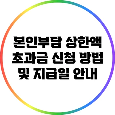본인부담 상한액 초과금 신청 방법 및 지급일 안내