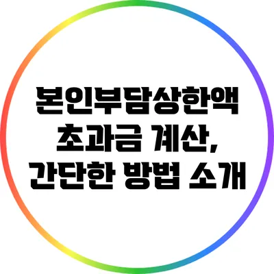 본인부담상한액 초과금 계산, 간단한 방법 소개