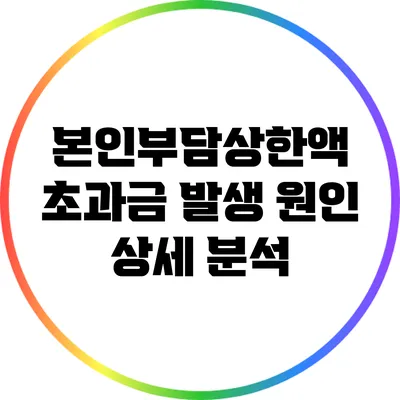 본인부담상한액 초과금 발생 원인 상세 분석