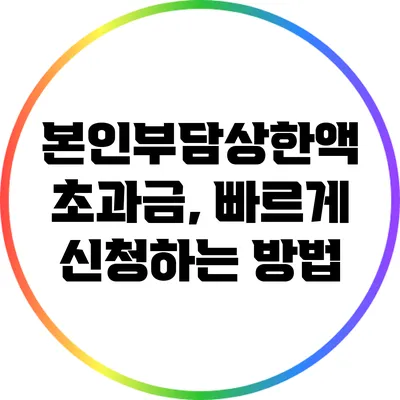 본인부담상한액 초과금, 빠르게 신청하는 방법
