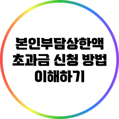본인부담상한액 초과금 신청 방법 이해하기