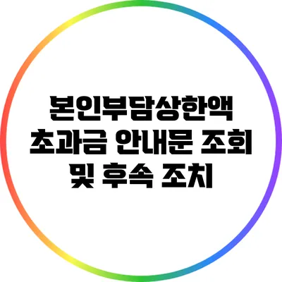 본인부담상한액 초과금 안내문 조회 및 후속 조치
