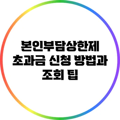 본인부담상한제 초과금 신청 방법과 조회 팁