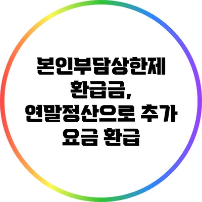 본인부담상한제 환급금, 연말정산으로 추가 요금 환급