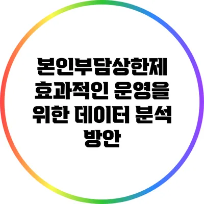본인부담상한제 효과적인 운영을 위한 데이터 분석 방안