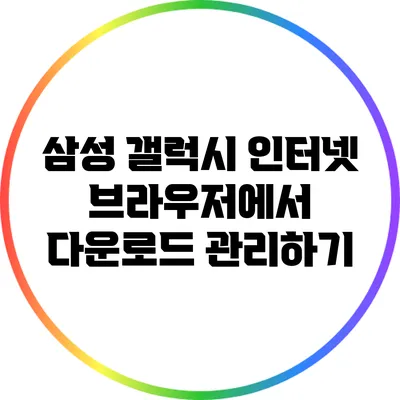 삼성 갤럭시 인터넷 브라우저에서 다운로드 관리하기