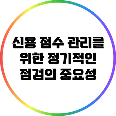 신용 점수 관리를 위한 정기적인 점검의 중요성