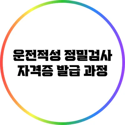 운전적성 정밀검사 자격증 발급 과정