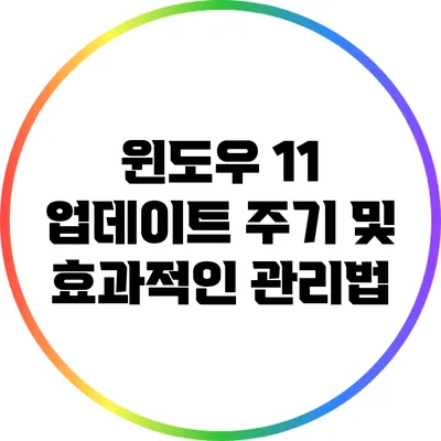 윈도우 11 업데이트 주기 및 효과적인 관리법