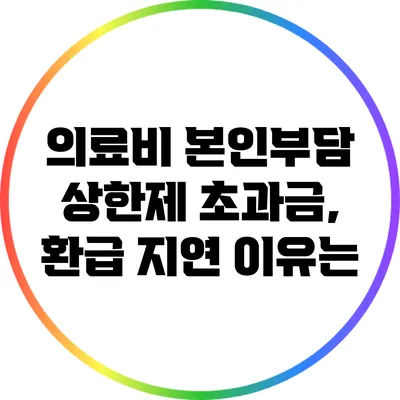 의료비 본인부담 상한제 초과금, 환급 지연 이유는?
