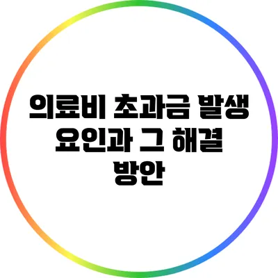 의료비 초과금 발생 요인과 그 해결 방안