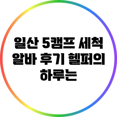 일산 5캠프 세척 알바 후기: 헬퍼의 하루는?