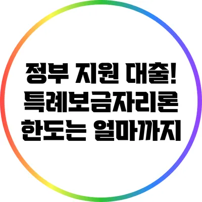 정부 지원 대출! 특례보금자리론 한도는 얼마까지?
