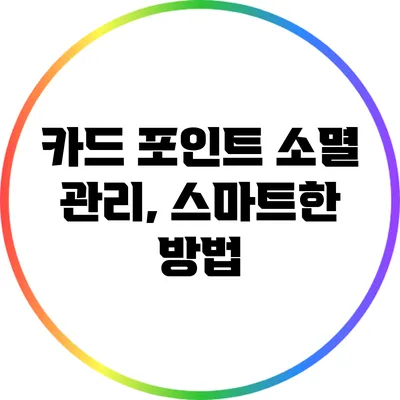 카드 포인트 소멸 관리, 스마트한 방법