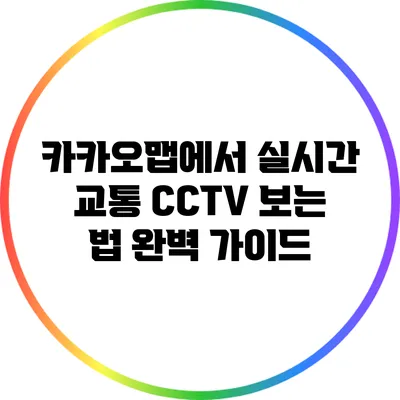 카카오맵에서 실시간 교통 CCTV 보는 법 완벽 가이드