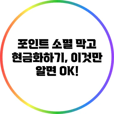 포인트 소멸 막고 현금화하기, 이것만 알면 OK!