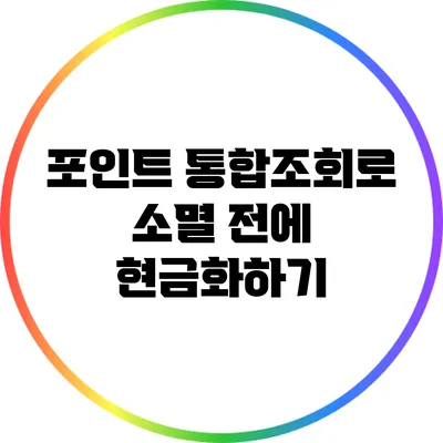 포인트 통합조회로 소멸 전에 현금화하기