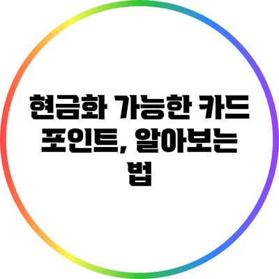현금화 가능한 카드 포인트, 알아보는 법