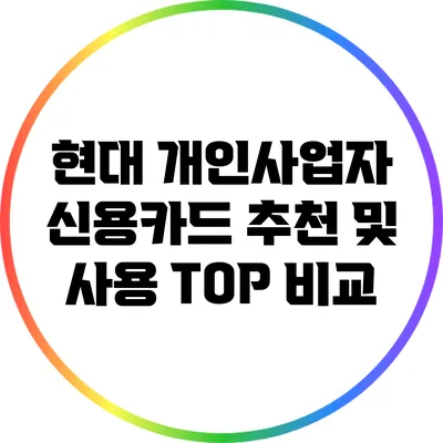 현대 개인사업자 신용카드 추천 및 사용 TOP 비교