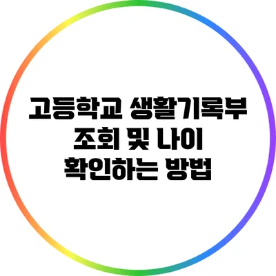 고등학교 생활기록부 조회 및 나이 확인하는 방법