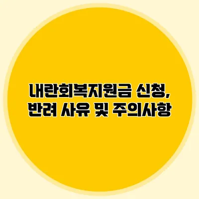 내란회복지원금 신청, 반려 사유 및 주의사항
