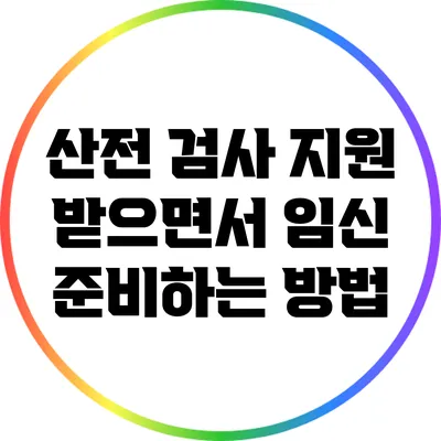 산전 검사 지원 받으면서 임신 준비하는 방법