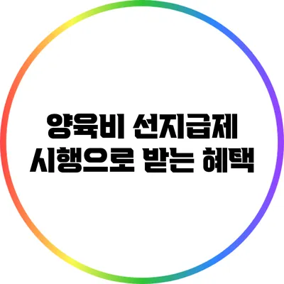양육비 선지급제 시행으로 받는 혜택