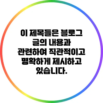 이 제목들은 블로그 글의 내용과 관련하여 직관적이고 명확하게 제시하고 있습니다.