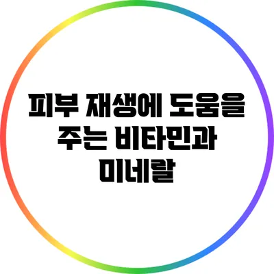 피부 재생에 도움을 주는 비타민과 미네랄