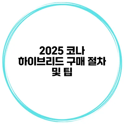 2025 코나 하이브리드 구매 절차 및 팁