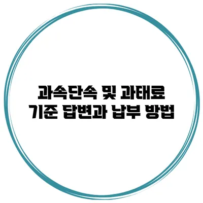 과속단속 및 과태료 기준 답변과 납부 방법