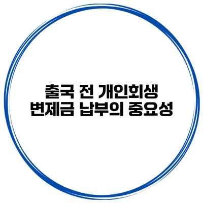출국 전 개인회생 변제금 납부의 중요성