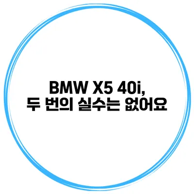 BMW X5 40i, 두 번의 실수는 없어요