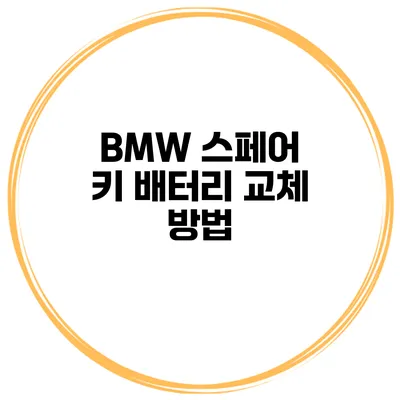 BMW 스페어 키 배터리 교체 방법
