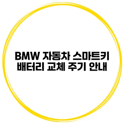 BMW 자동차 스마트키 배터리 교체 주기 안내