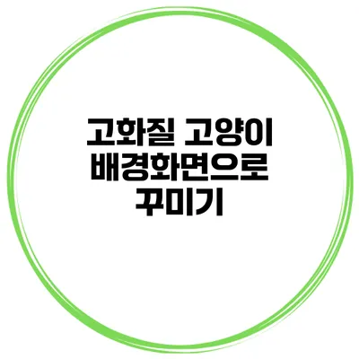 고화질 고양이 배경화면으로 꾸미기