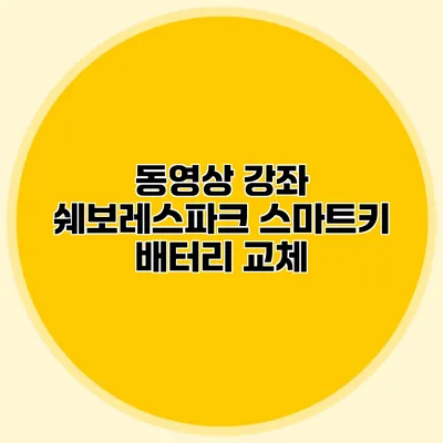 동영상 강좌 쉐보레스파크 스마트키 배터리 교체
