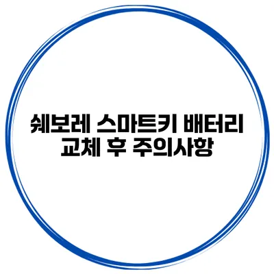 쉐보레 스마트키 배터리 교체 후 주의사항
