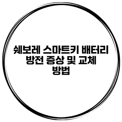 쉐보레 스마트키 배터리 방전 증상 및 교체 방법