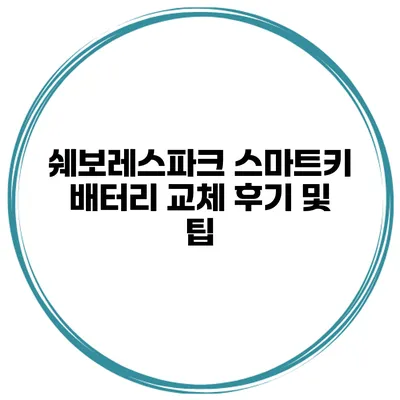 쉐보레스파크 스마트키 배터리 교체 후기 및 팁