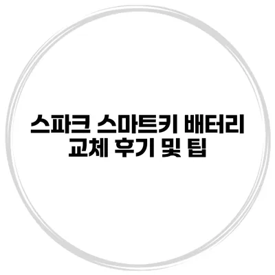 스파크 스마트키 배터리 교체 후기 및 팁